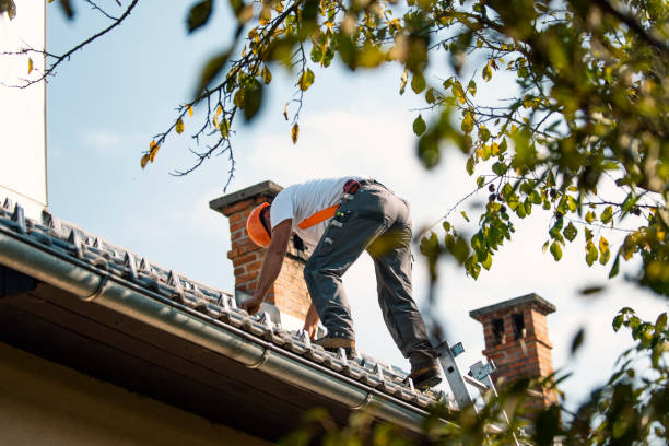 Best Roof Leak Repair  in Lamoni, IA