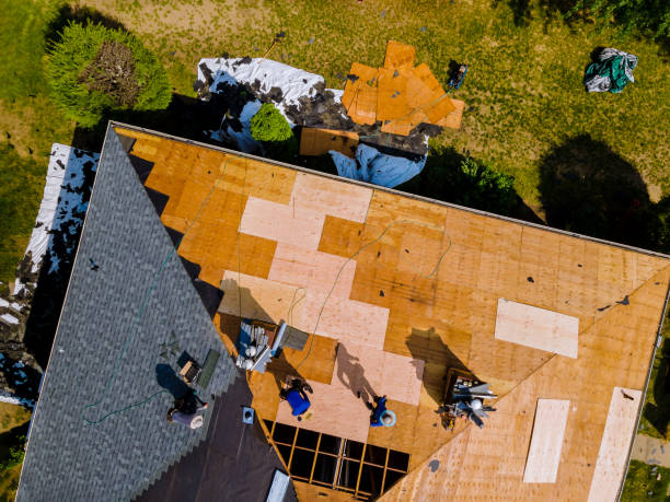 Best Metal Roofing Contractor  in Lamoni, IA