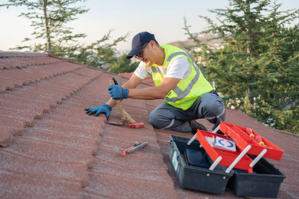 Best Residential Roof Replacement  in Lamoni, IA