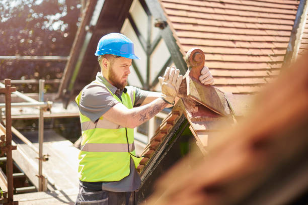 Best Storm Damage Roof Repair  in Lamoni, IA